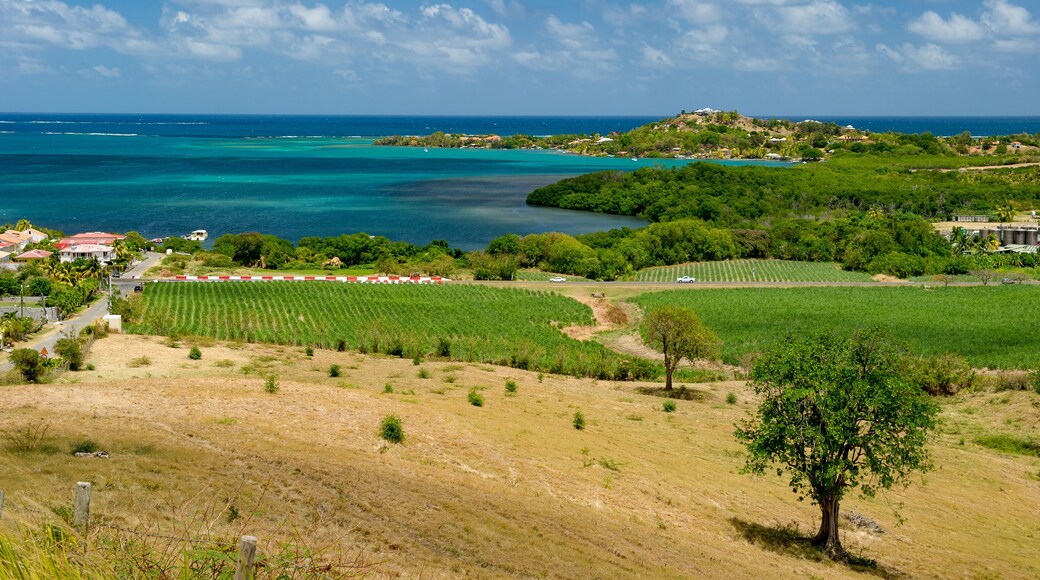 Le Francois, Martinique / 04.08.2014. Martinique, FWI - View to Les Trois Ilets from the mountains