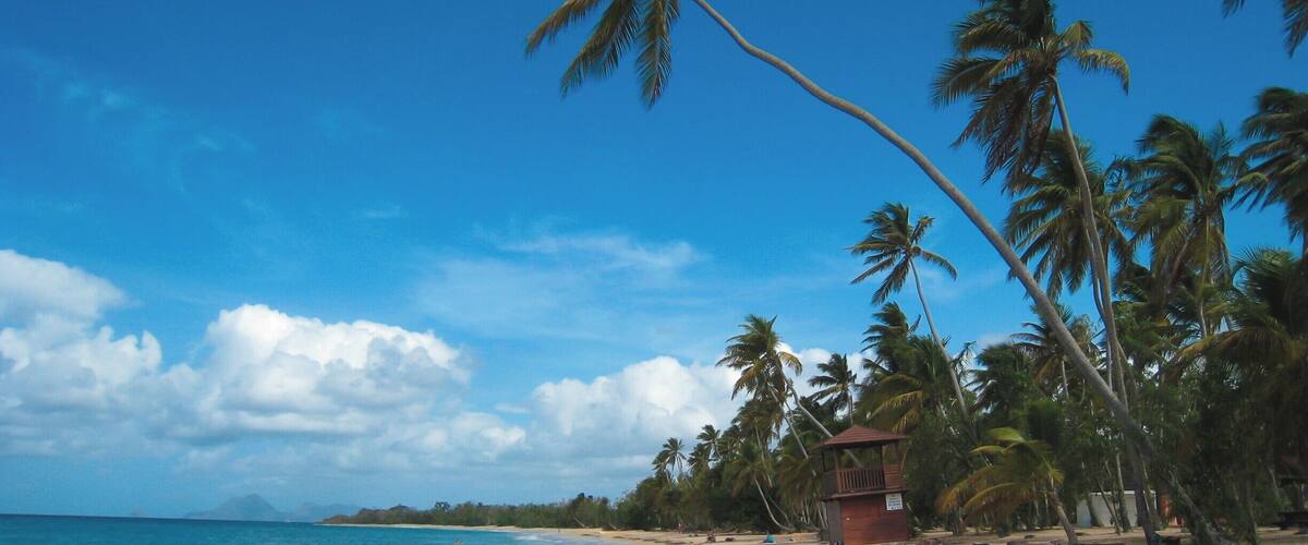 La Grande Anse des Salines in Martinique. Much better in the morning as it can be pretty crowded later in the day.
#LifeAtExpedia #BeachBound