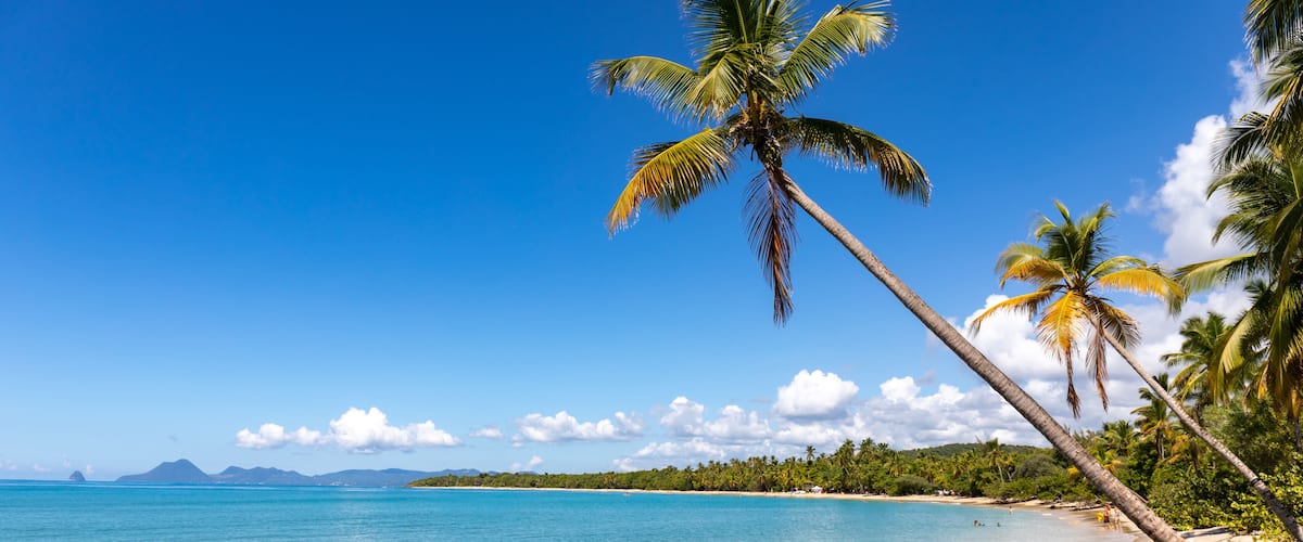 A beach with clear turquoise water, palm trees, and distant mountains.