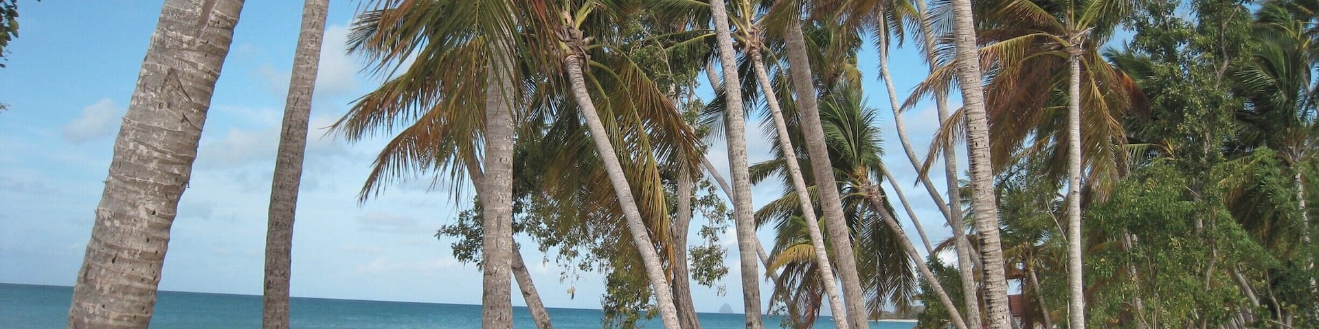 La Grande Anse des Salines in Martinique. Much better in the morning as it can be pretty crowded later in the day.
#LifeAtExpedia #BeachBound
