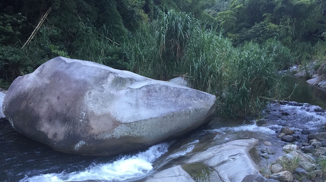 La piedra escrita...
"The written stone" beautiful river in Jayuya PR .... You can swim surrounded by beauty and drawings of the native taino indians who are once lived in the island....