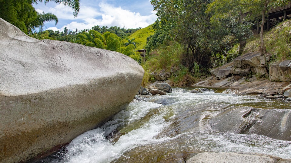 A river flowing over rocks, surrounded by lush greenery and a wooden bridge.