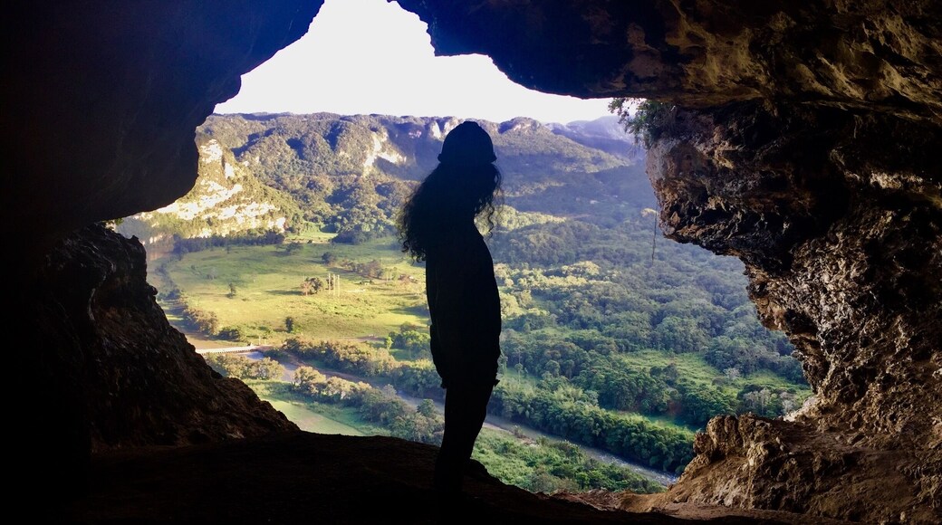Cueva la Ventana