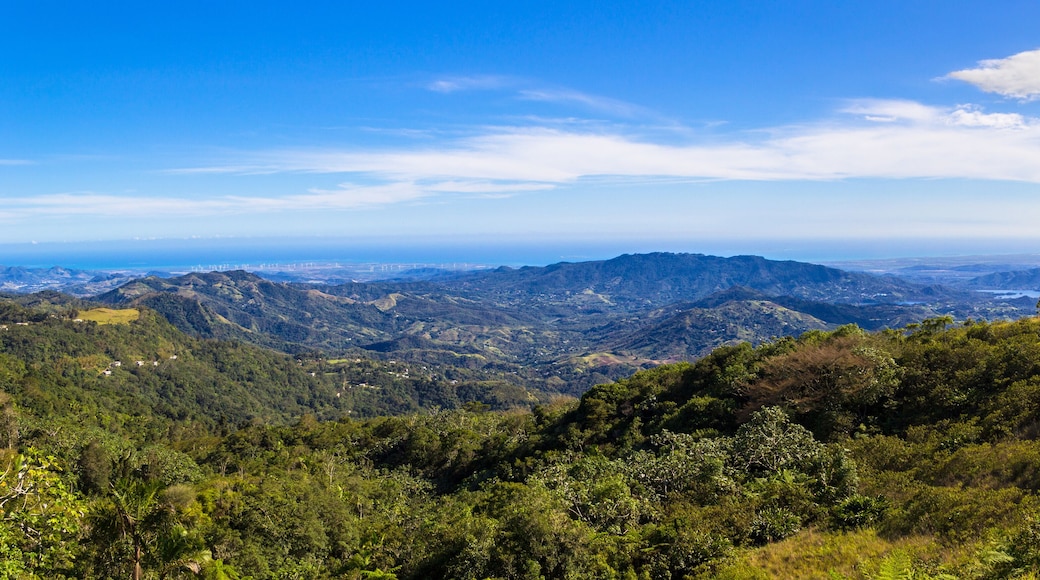 Beautiful view of mountains in Puerto Rico