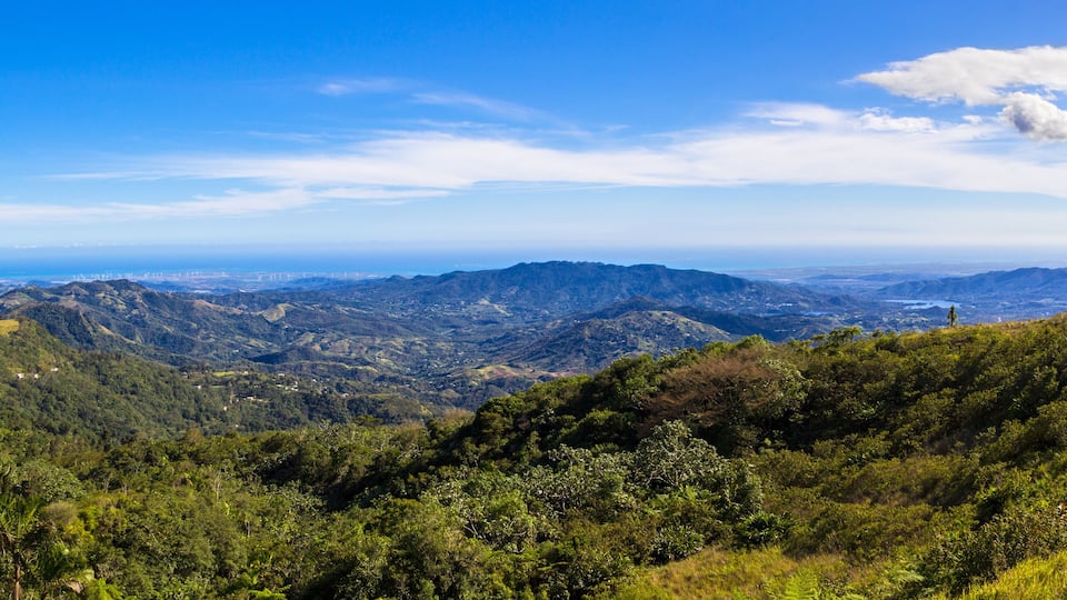 A mountainous landscape with dense forests and a clear blue sky.