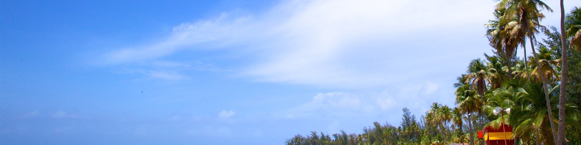 A beach with clear blue water, palm trees, and a lifeguard tower.