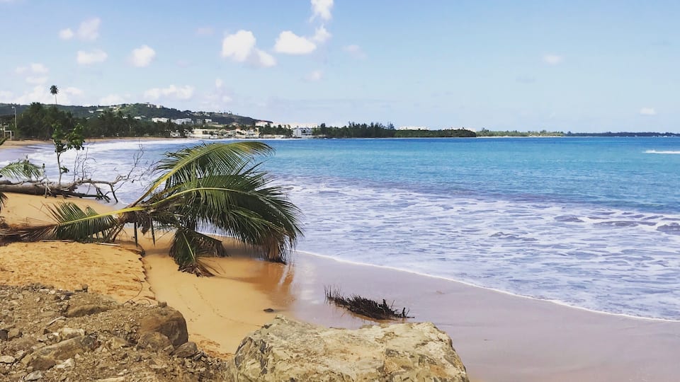 Gorgeous view and beautiful golden sand at Playa Fortuna in Puerto Rico! #culture
