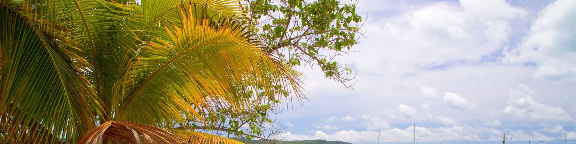 Boquerón which includes general coastal views, a bay or harbor and a sandy beach