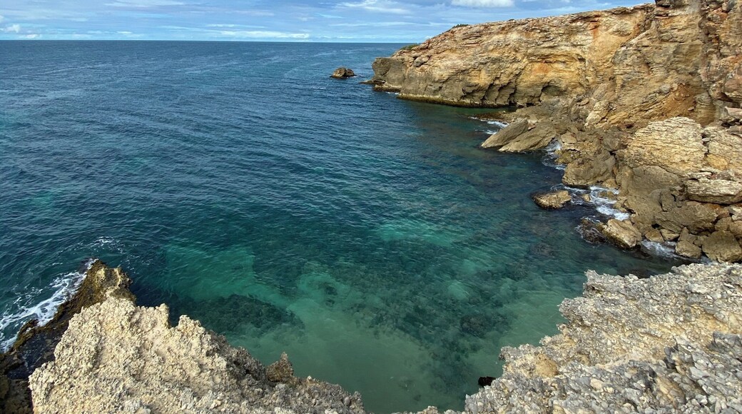 Looks a lot like the Mediterranean in #puertorico