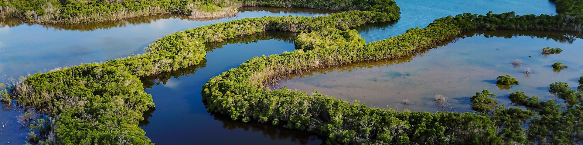 Uma floresta de mangue com canais de água e colinas ao longe.