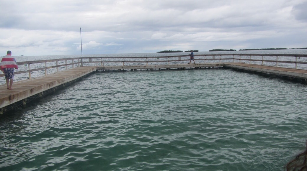 A natural pool at the ocean in Lajas PR! The water look Pink! A beautiful place and a most have place to go in PR! #PuertoRico #Lajas #PlayaRosada #Beach #Pool #Natural