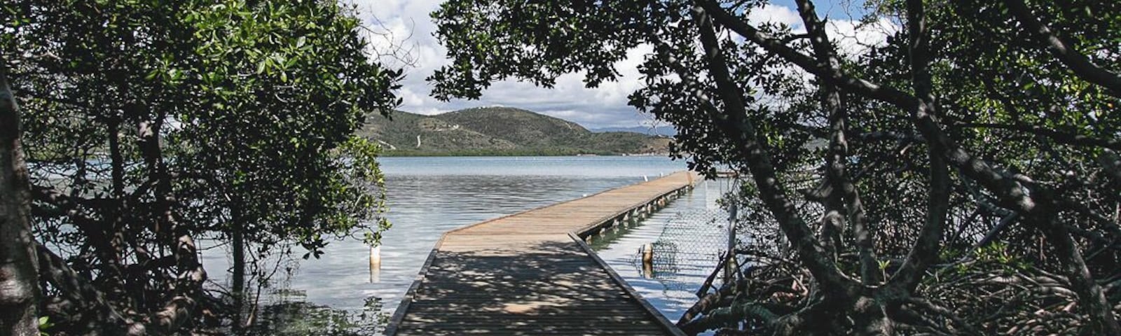 Beautiful little island surrounded by beautiful mangrove trees
#puertorico #travel #islands #mangrove #paradise #tropical