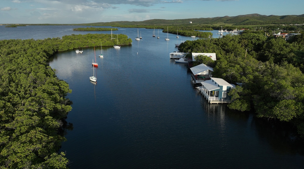 House on the water, La Parguera