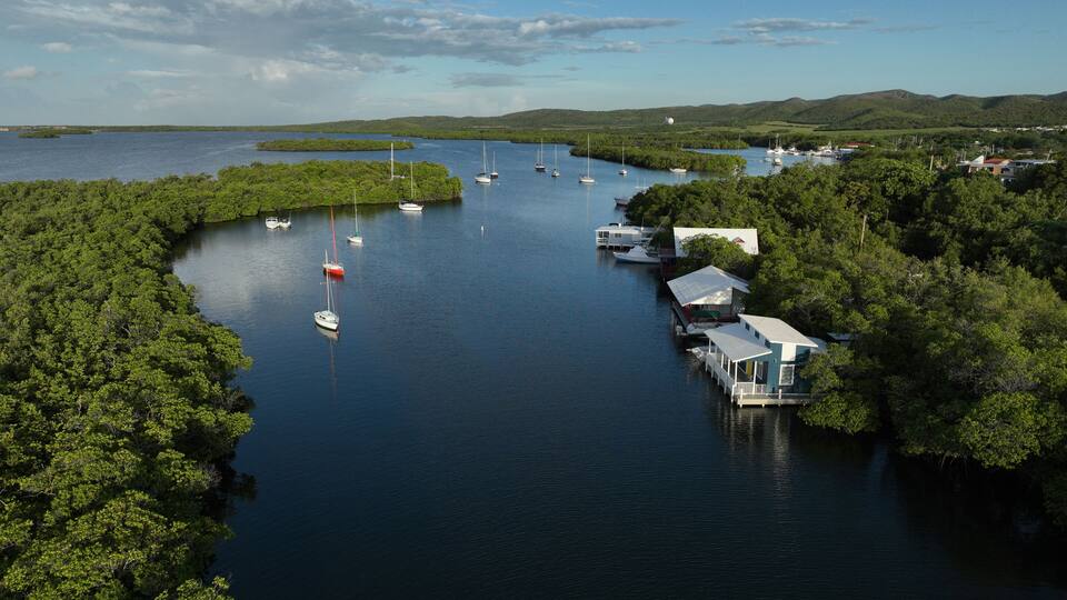 A marina surrounded by dense green forest, calm water, and distant hills.