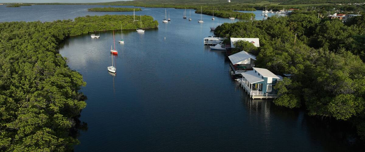 A marina surrounded by dense green forest, calm water, and distant hills.