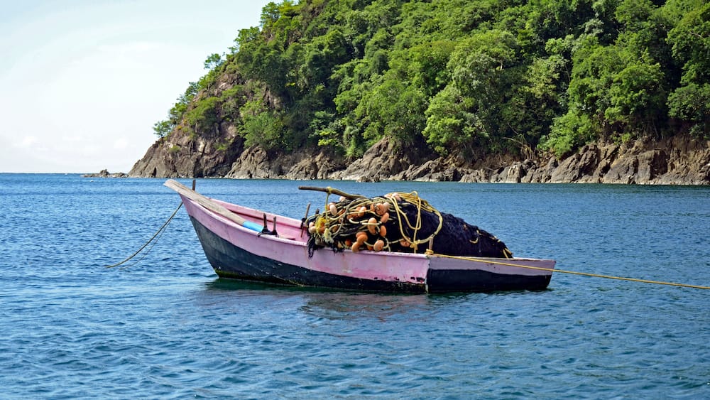 A rustic pink and black fishing boat piled with a seine net with faded orange floats and yellow rope, and a long wooden ore at anchor in a Tobago harbor lined with rugged rocks and lush green plants.