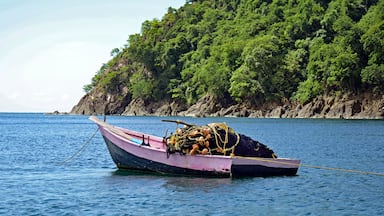 A rustic pink and black fishing boat piled with a seine net with faded orange floats and yellow rope, and a long wooden ore at anchor in a Tobago harbor lined with rugged rocks and lush green plants.