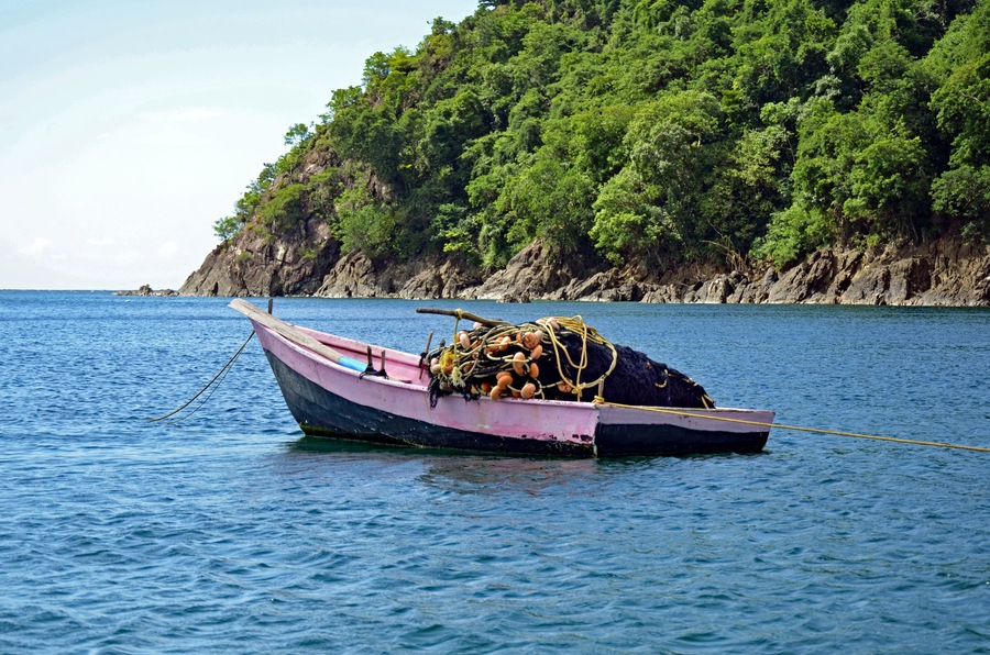 A rustic pink and black fishing boat piled with a seine net with faded orange floats and yellow rope, and a long wooden ore at anchor in a Tobago harbor lined with rugged rocks and lush green plants.
