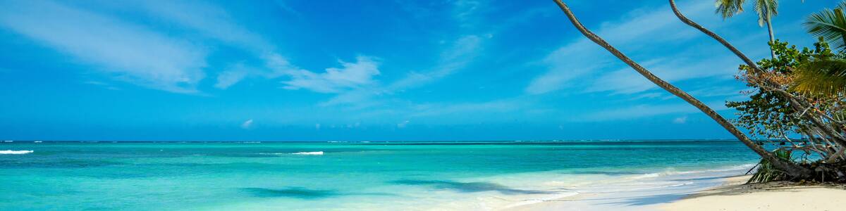 A beach with clear turquoise water, white sand, and palm trees.
