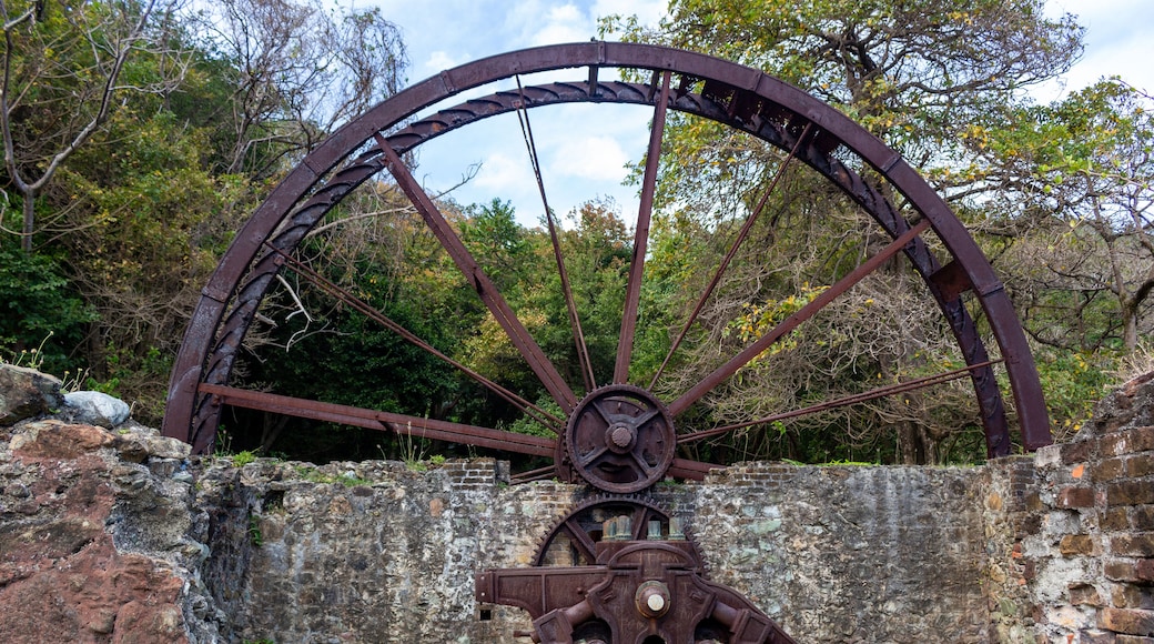 Historic Speyside water wheel surrounded by tropical forest ruins in Tobago, Trinidad and Tobago