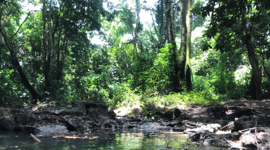 While in Belize, we went river tubing. It was extremely cold, but it was an un-BELIZE-able experience.