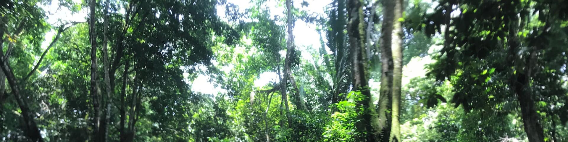 While in Belize, we went river tubing. It was extremely cold, but it was an un-BELIZE-able experience.