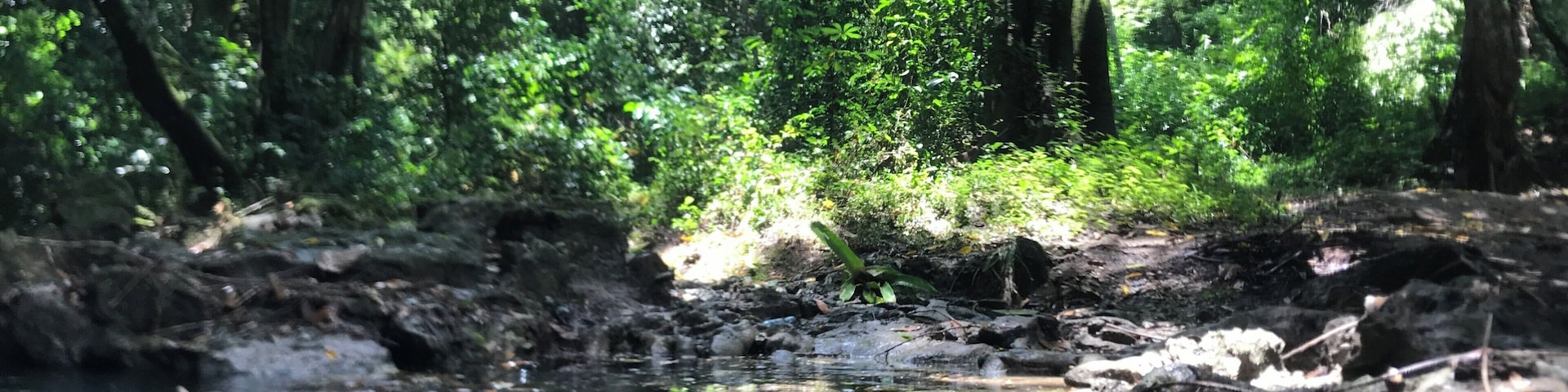 While in Belize, we went river tubing. It was extremely cold, but it was an un-BELIZE-able experience.