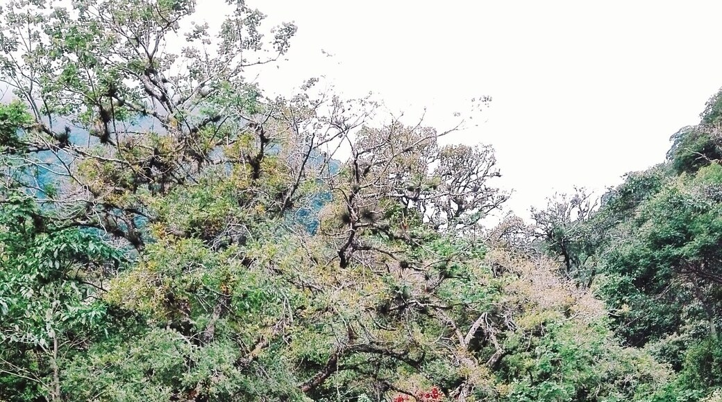 On the way to the waterfalls in the mountains of EscazĂș, beautiful nature and worth the walk