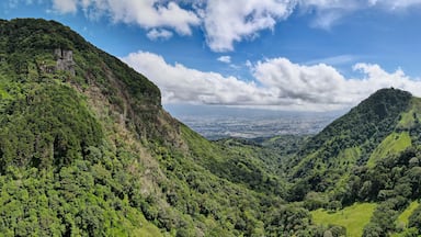 A lush valley with dense green forests and steep hills.
