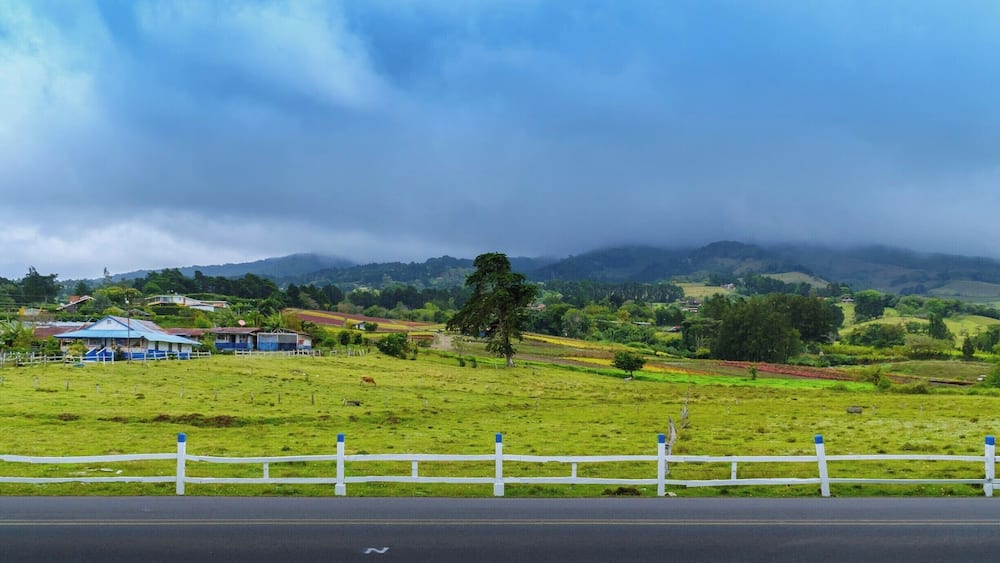On our way to Monte de la Cruz, we had a small stop in a plant nursery to take this shot.
It started raining but the clouds, the fog and the colors of this place made it magical!