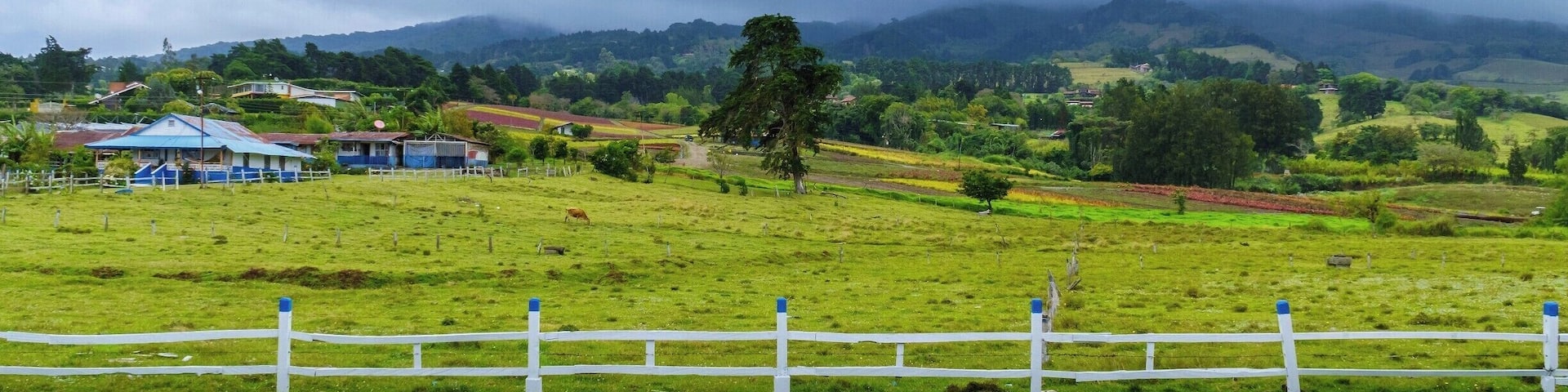 On our way to Monte de la Cruz, we had a small stop in a plant nursery to take this shot.
It started raining but the clouds, the fog and the colors of this place made it magical!