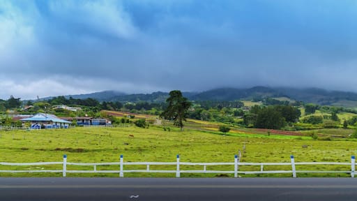 On our way to Monte de la Cruz, we had a small stop in a plant nursery to take this shot.
It started raining but the clouds, the fog and the colors of this place made it magical!