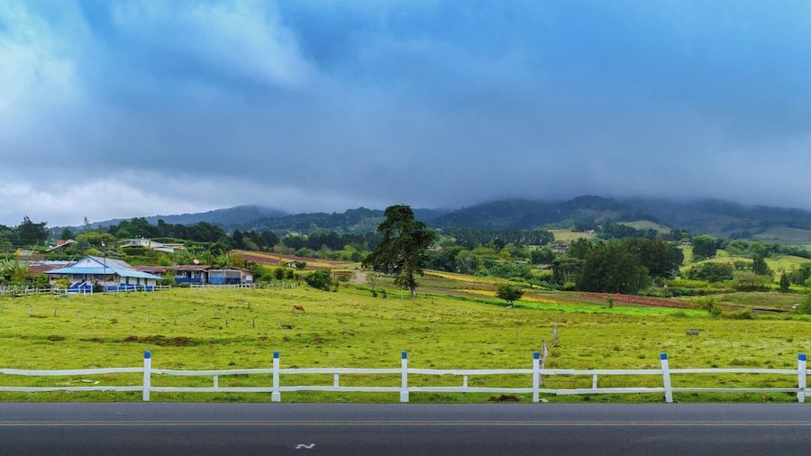 On our way to Monte de la Cruz, we had a small stop in a plant nursery to take this shot.
It started raining but the clouds, the fog and the colors of this place made it magical!
