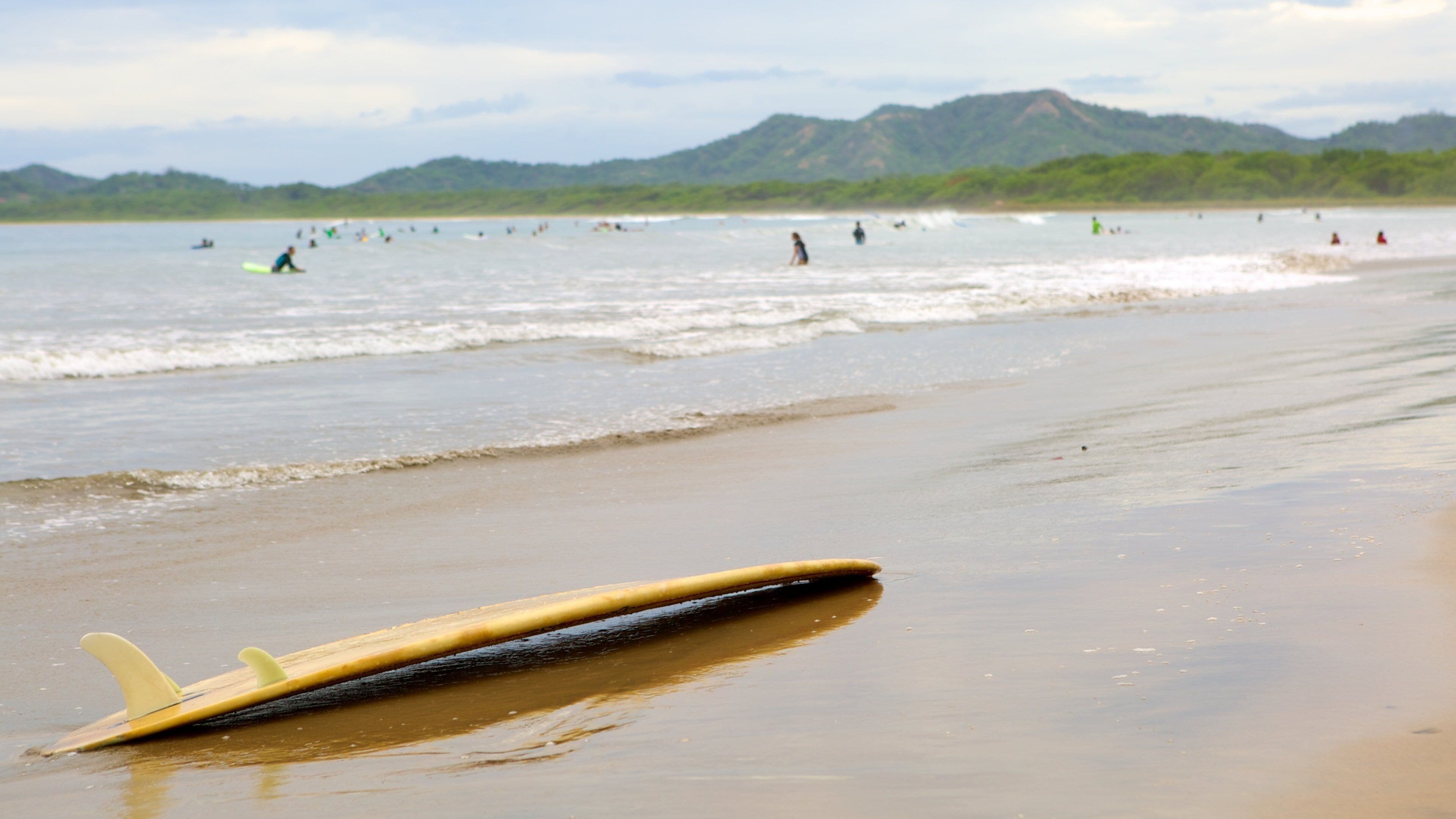 Tamarindo which includes a beach and surfing