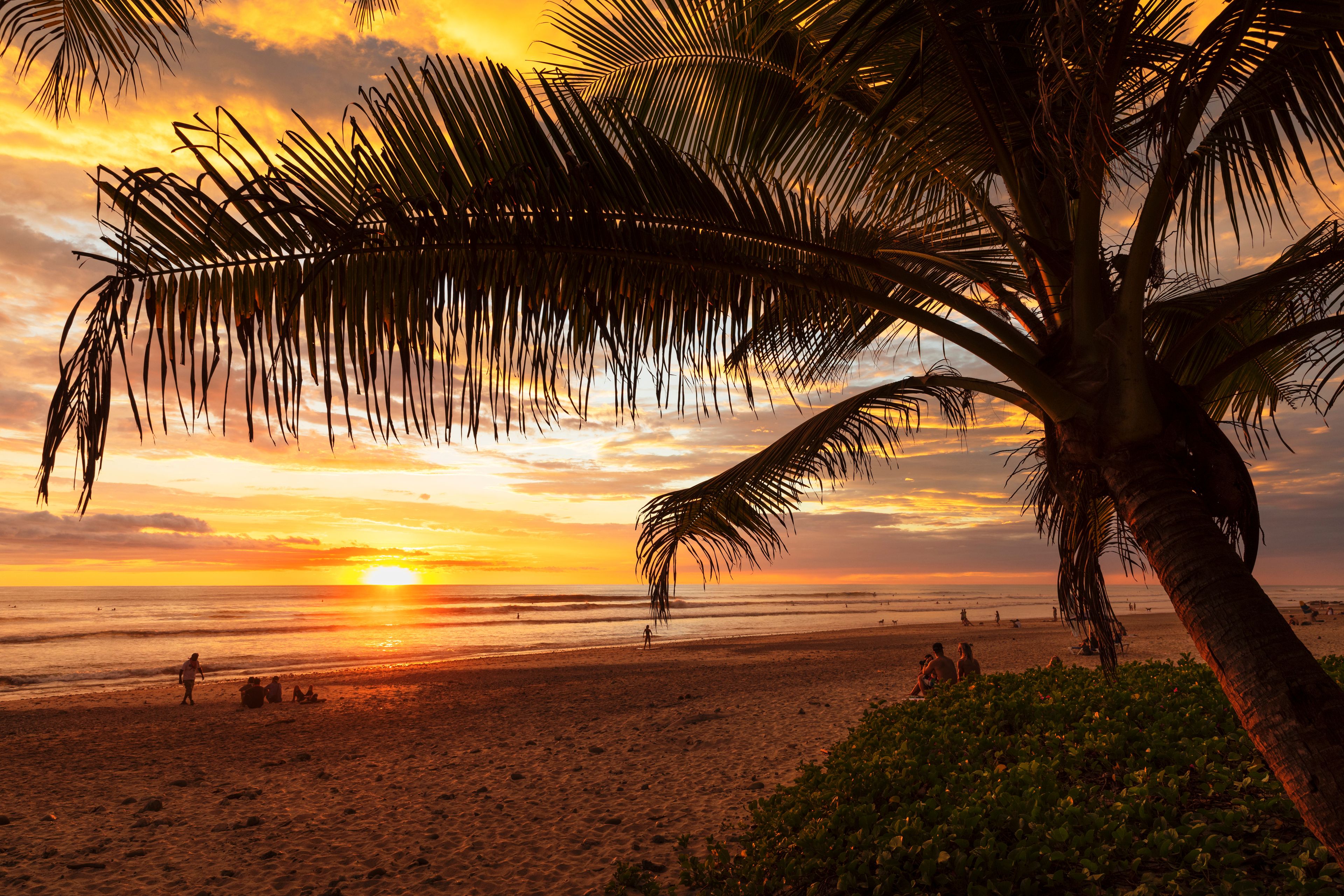Un atardecer sobre una playa con palmeras y gente.