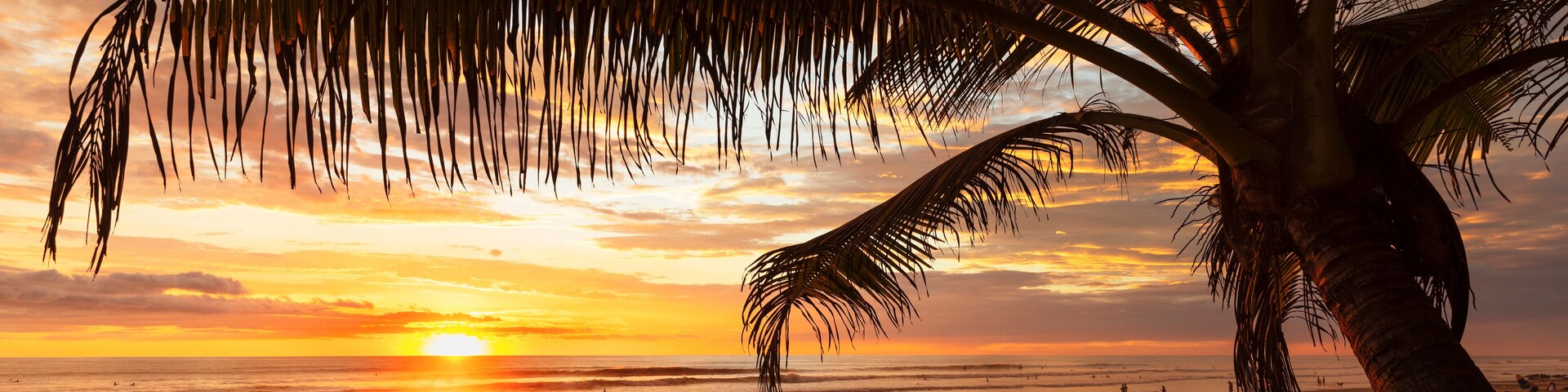 Un atardecer sobre una playa con palmeras y gente.