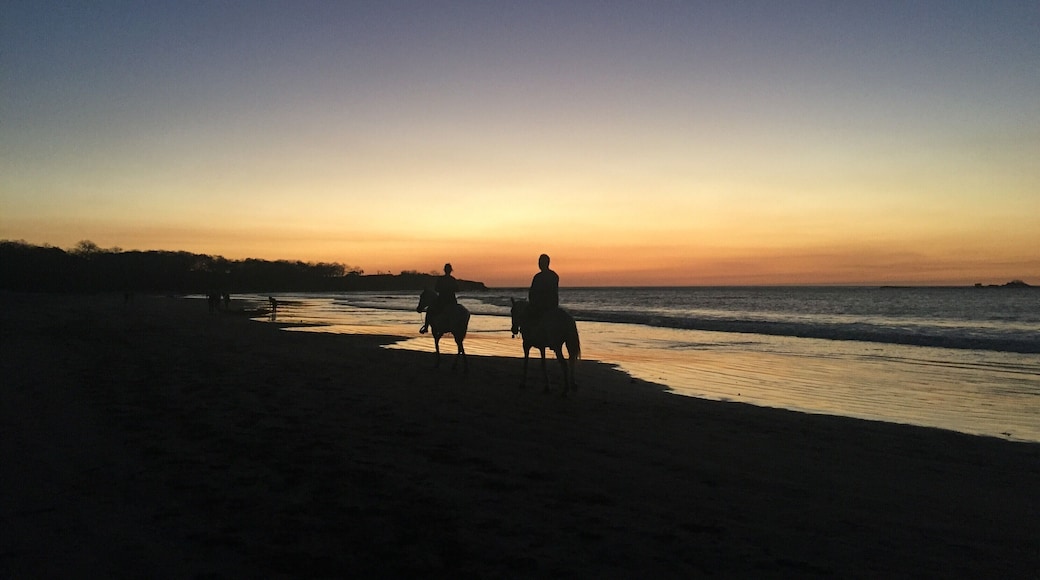 Go on a sunset horse ride at Playa Tamarindo. The sun won't make you melt and the breeze is enjoyable. Just don't forget the mosquito repellant at this hour. #LifeAtExpedia
