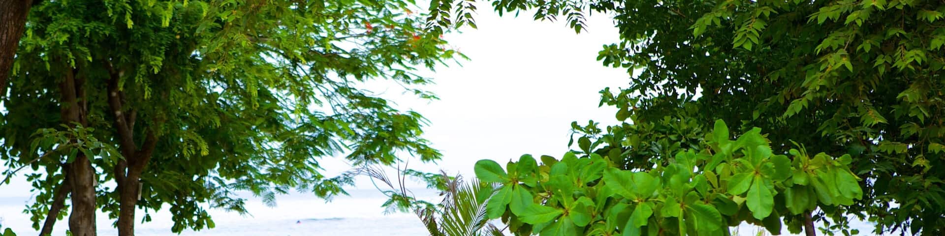 Tamarindo showing a sandy beach as well as an individual male