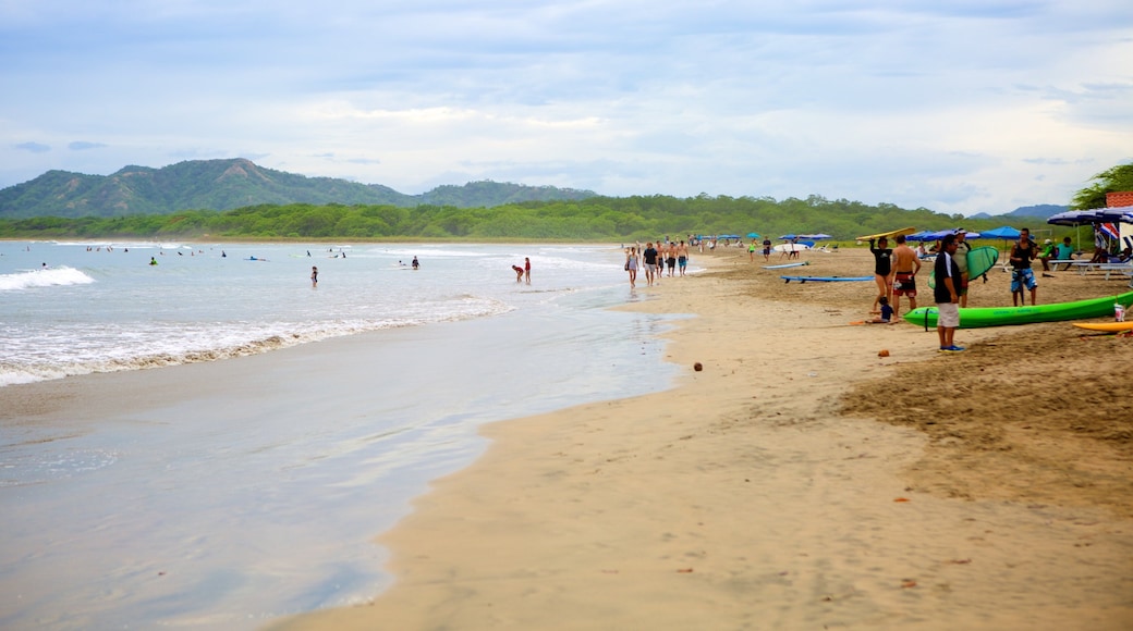 Tamarindo featuring a beach as well as a large group of people