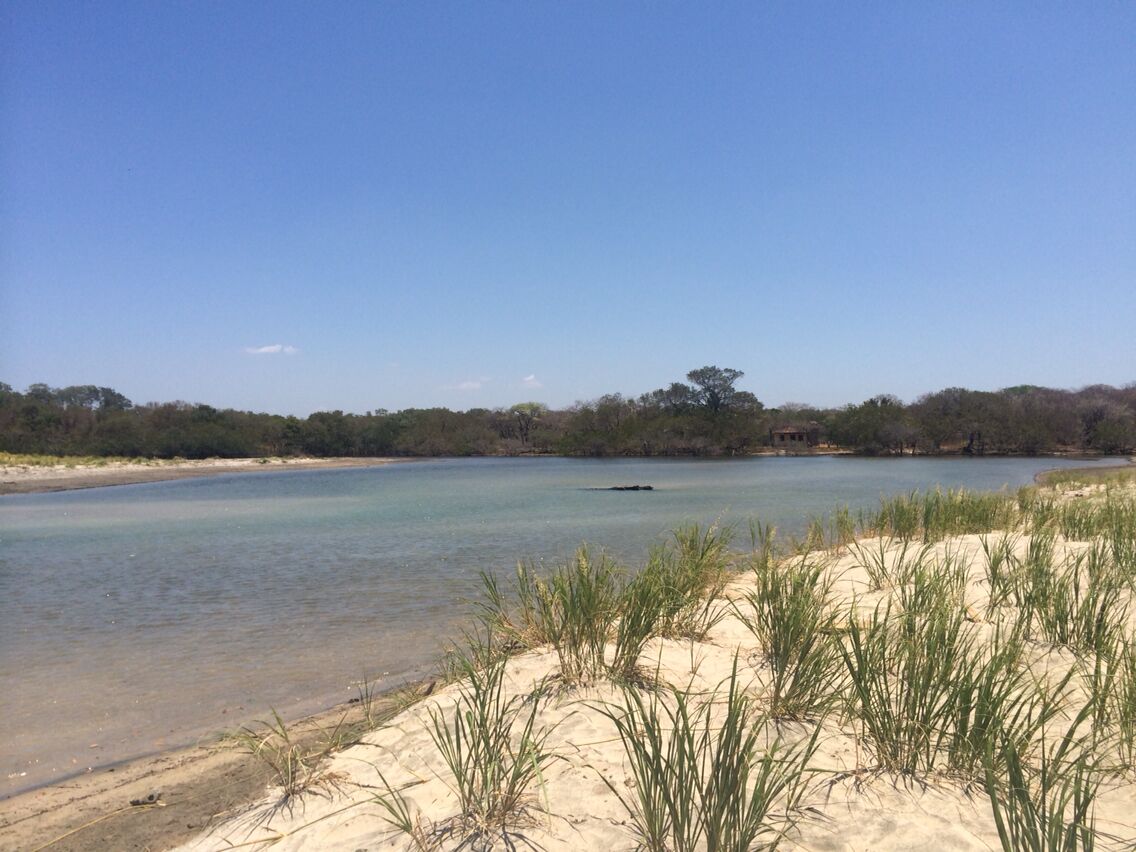 Estero playa Avellanas. 