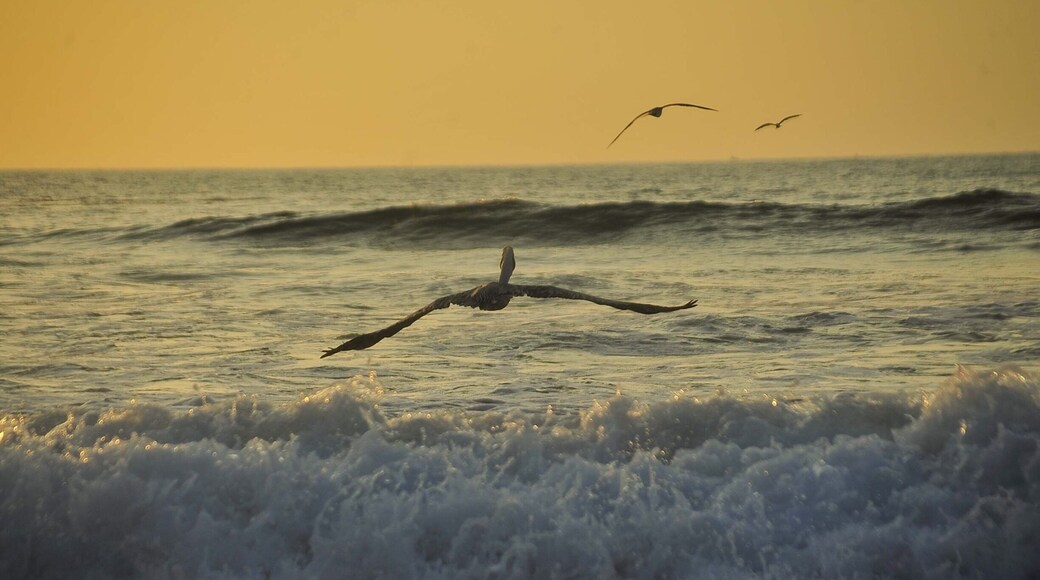 Let go and lets go to 2016 đ