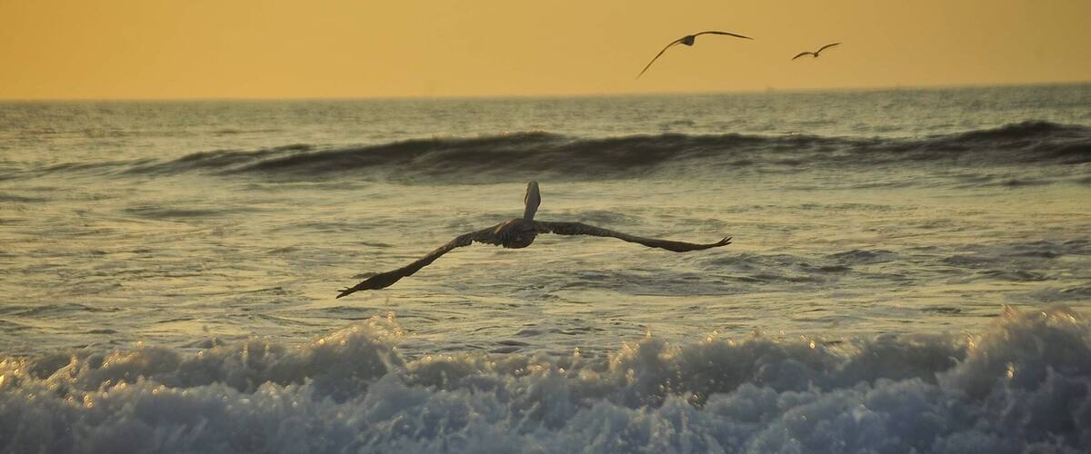 Let go and lets go to 2016 🍀