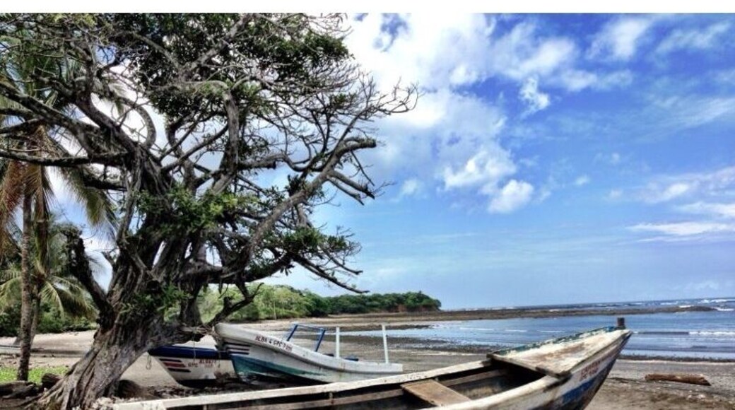 Artesanal little boats
