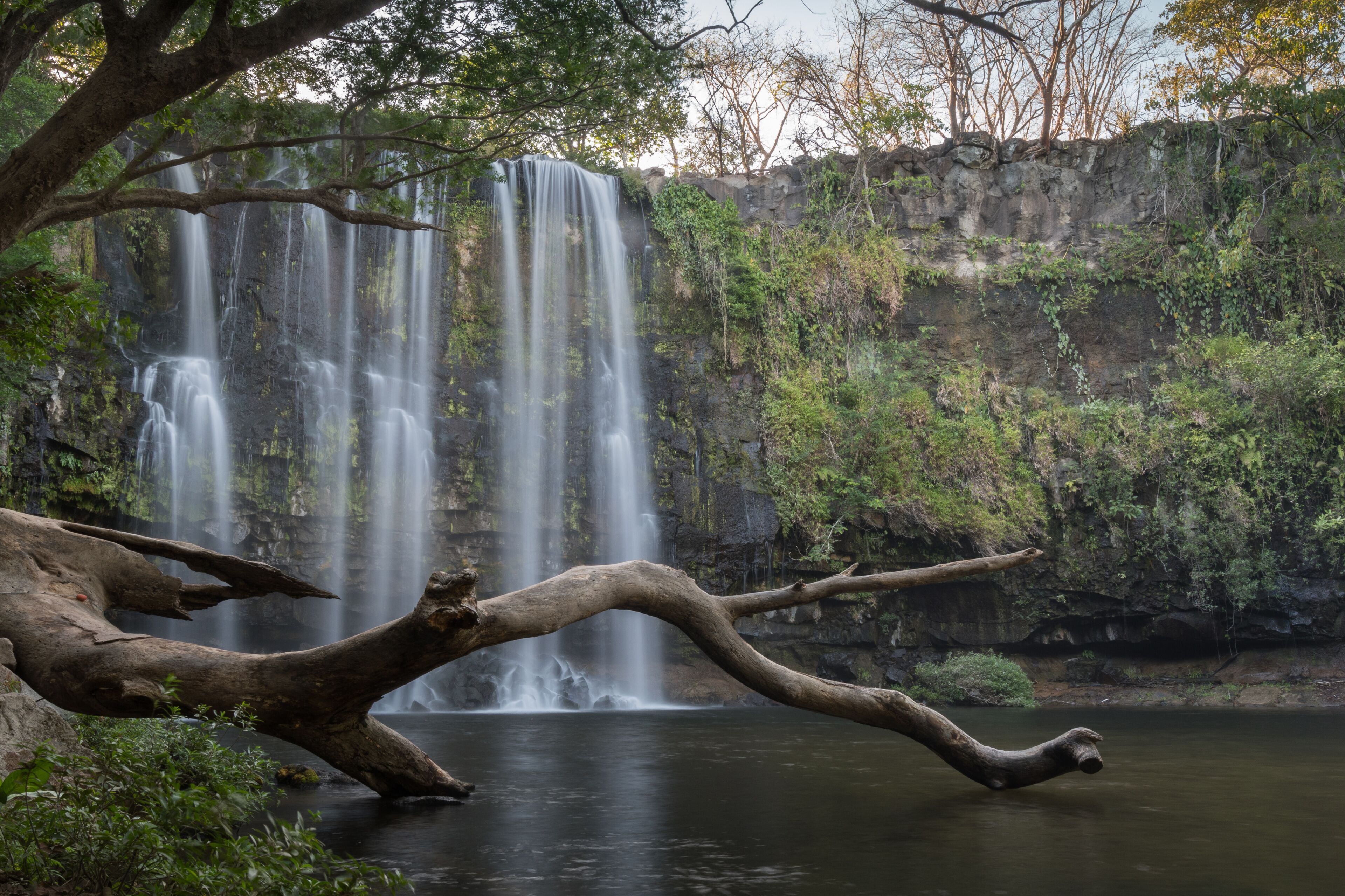 A multi-tiered waterfall surrounded by lush greenery and a fallen tree in the foreground.