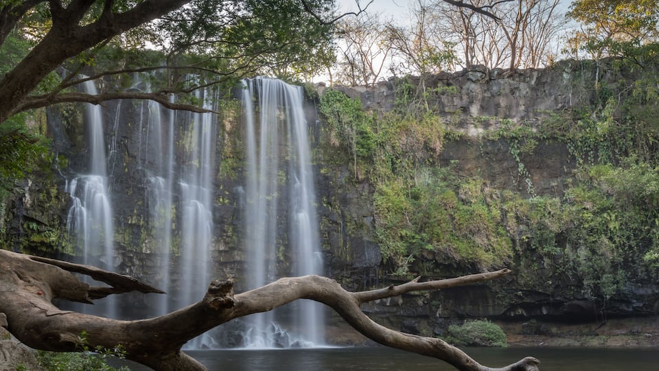 A multi-tiered waterfall surrounded by lush greenery and a fallen tree in the foreground.