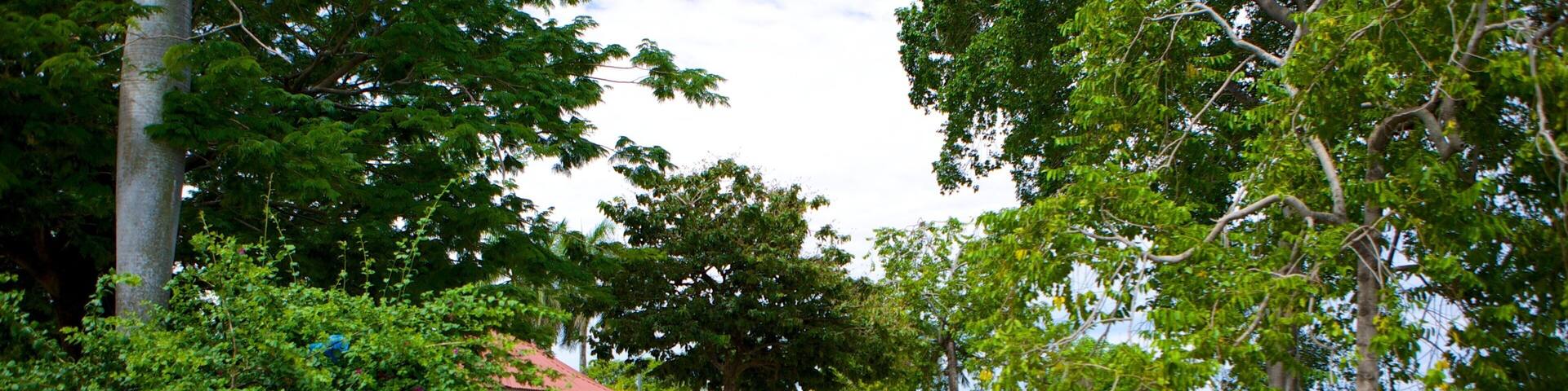 Liberia showing a park