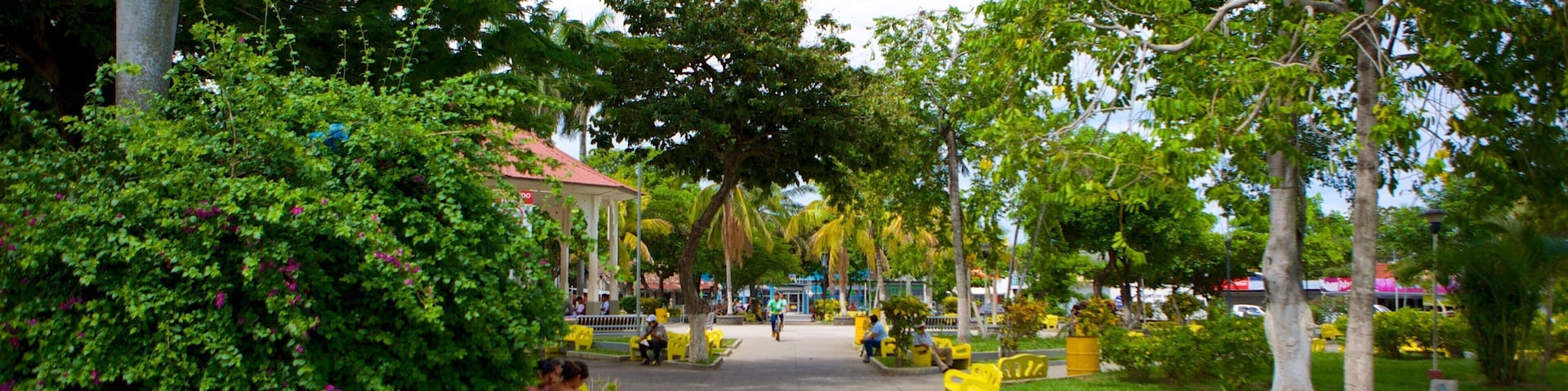 Liberia caracterizando um parque