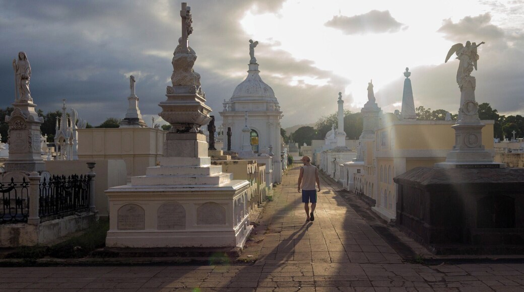 Walking among the gravestones in the oldest cemetery in Central America.
http://www.divebuddies4life.com/the-best-of-granada/
