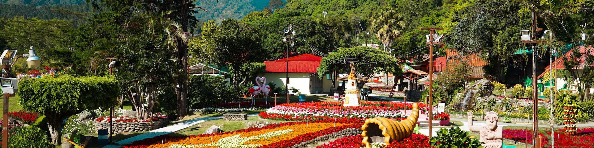 A vibrant flower garden with a large, colorful design, surrounded by lush greenery and mountains in the background.