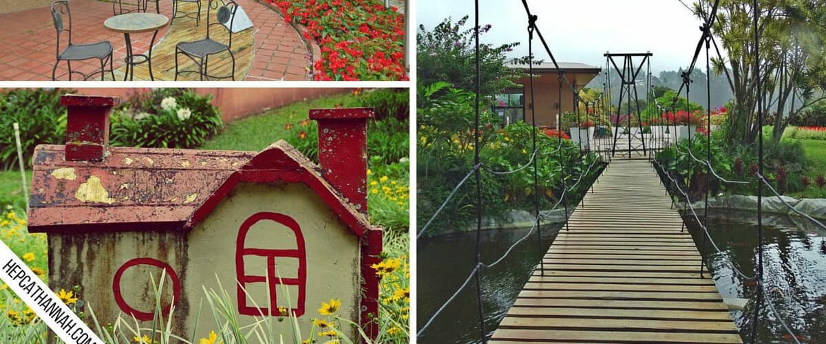 Mi Jardin is the place to kick back, enjoy a cup of coffee, and savor the delicious view of the mountains. The coffee in this region is top of the line, gourmet quality.
Besides the coffee & the view (reason enough, I know), Mi Jardin has an extensive garden, a koi pond, and small suspension bridge, just begging to be explored.
For more about Boquete, click here:
http://www.hepcathannah.com/visit-boquete-chiriqui-panama/